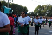 H2164991