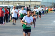 G2165524