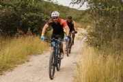 Sprint, olímpico y relevos