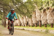 V2183058