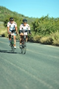 G2194939