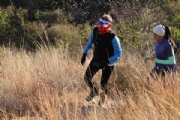 I2208878