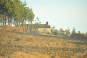 F2229468