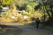 T2229815