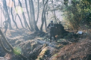 V2230083