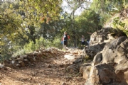 I2240995