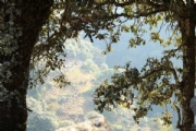 R2240923