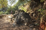 Y2240966
