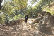 Y2241312