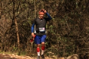 W2234264