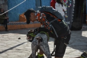 J2234485