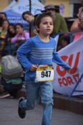 V2237493