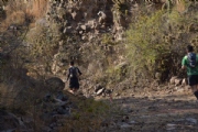 D2246735