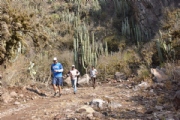 N2246547