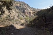 S2246364