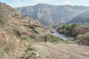 R2247532