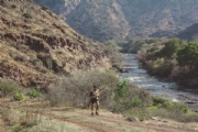 Y2247605
