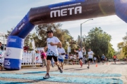 V2249503