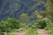 E2258845