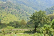U2246930