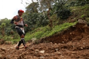 C2255158