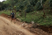 G2253524