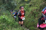N2254466