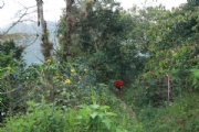 P2254405