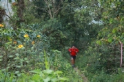 P2254426