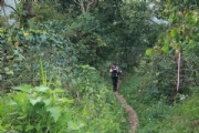 P2254586
