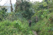 P2254645