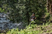 C2260129