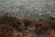 C2282502