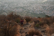 C2282504