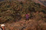 C2282510