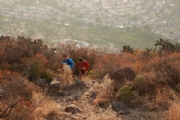 C2282705