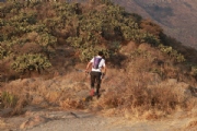 D2282665