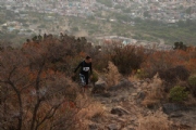 E2282754