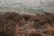 G2282685