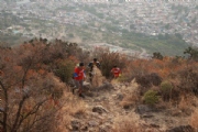 K2282557