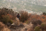 L2282488