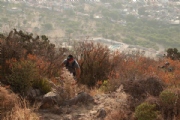L2282491