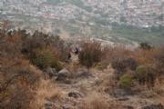 N2282660