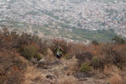 O2282613