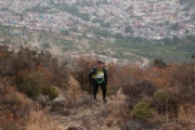 O2282664