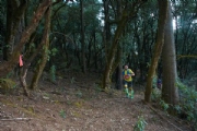 C2278708