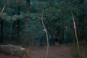 C2279083
