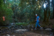 N2278724