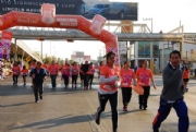 T2275534