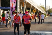 Z2276238